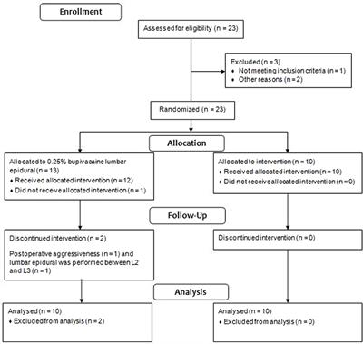 Lumbar Epidural: Anatomical and Clinical Study in Dogs Submitted to Ovariohysterectomy
